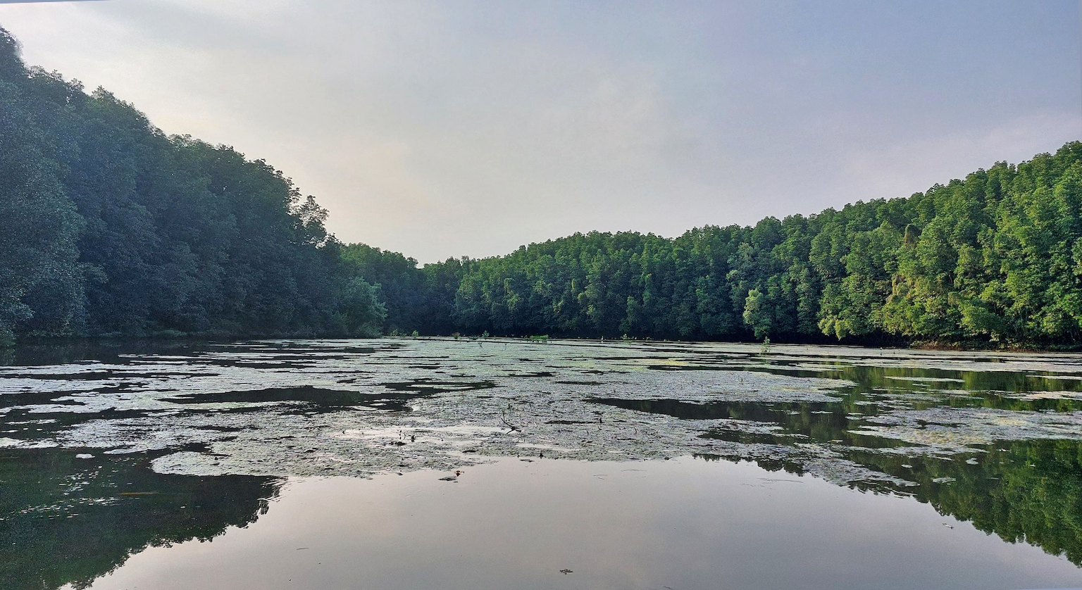 The state-invested Vam Sat Ecotourism site in Can Gio district.