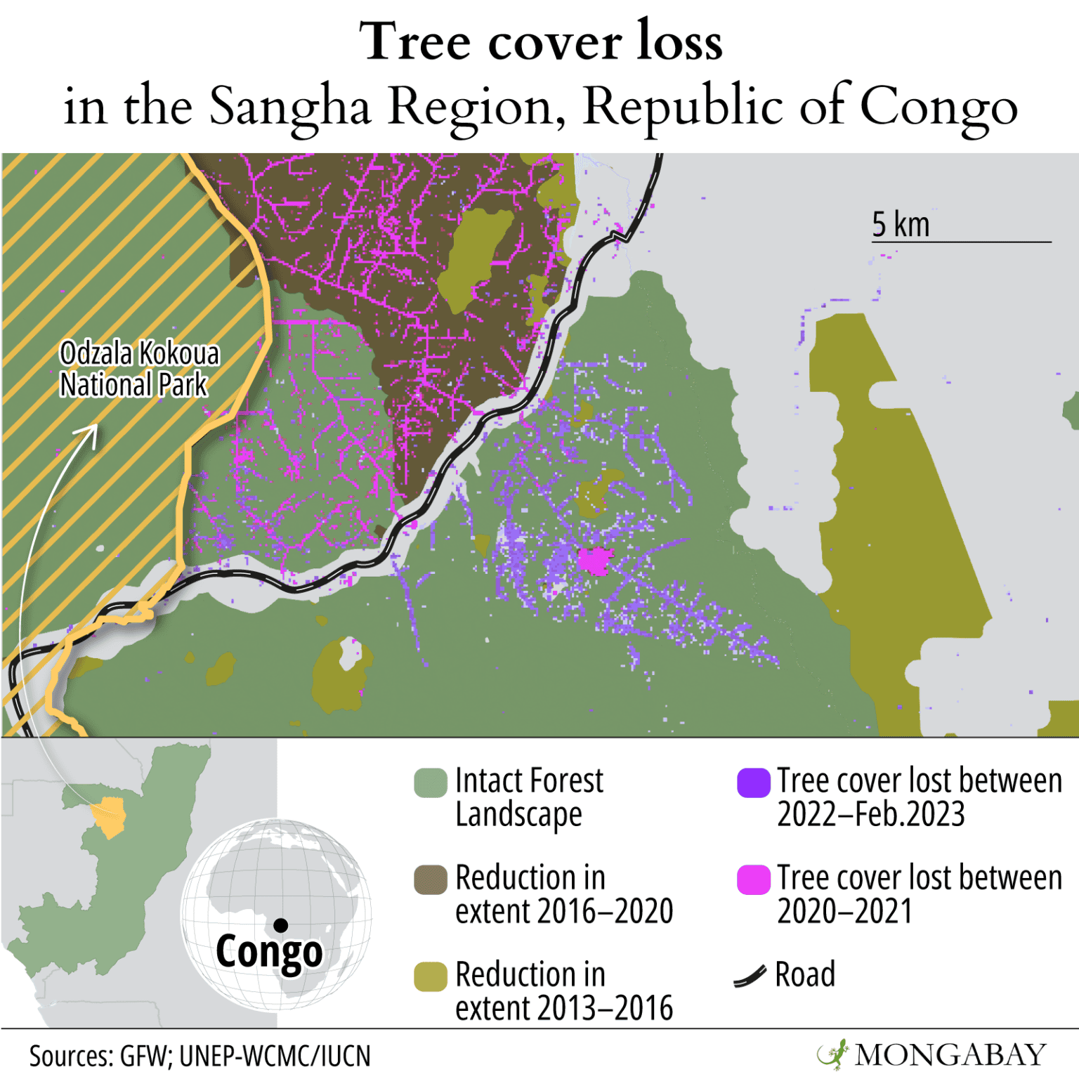 Reptile Populations: Deforestation'S Impact Is A Surprise - jsmnysa