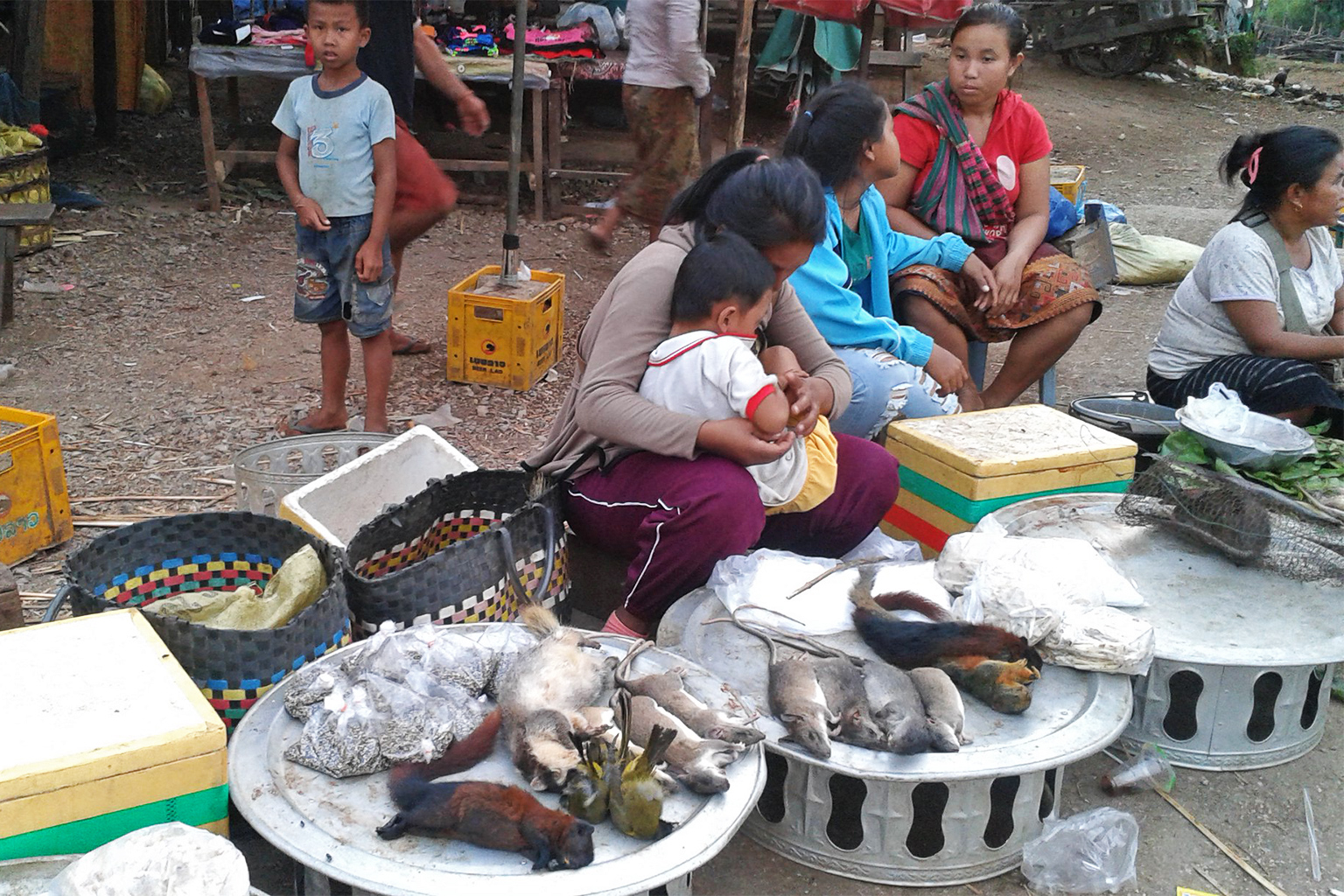 A wildlife market in Laos with squirrels, mice and other rodents.