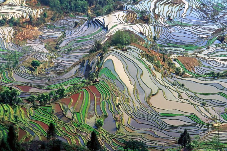 Honghe Hani Rice Terraces in Yunnan Province, China. Image by Jialiang Gao via Flickr (CC BY-NC 2.0).