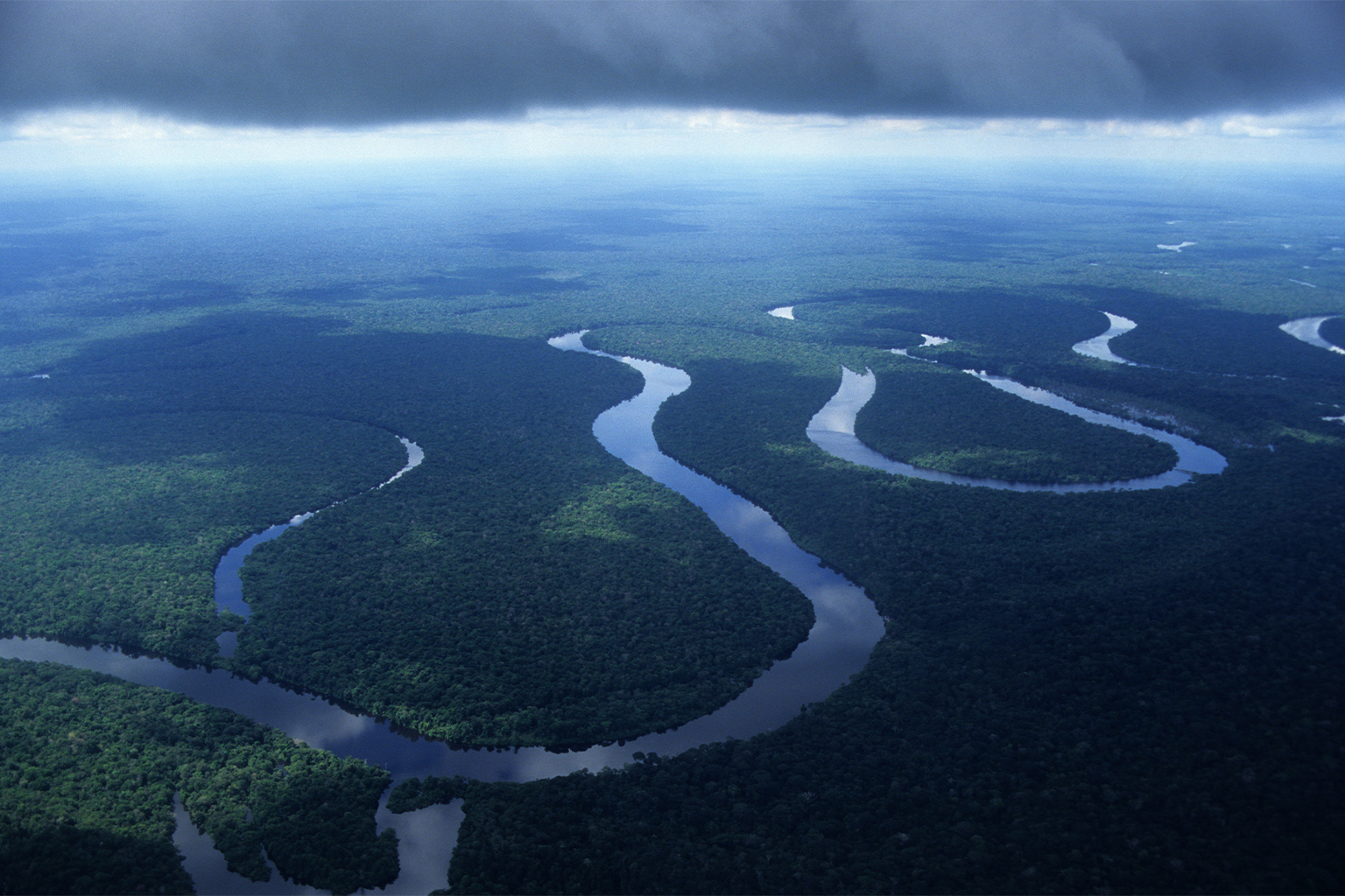 Aerial photo: The Cuniuá River curving through the Amazon Rainforest. 