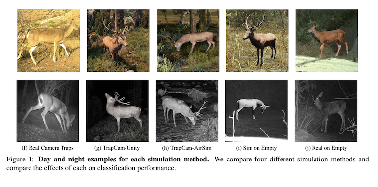 Figure from the study "Synthetic Examples Improve Generalization for Rare Classes," May 2019, image courtesy of authors Sara Beery et al.