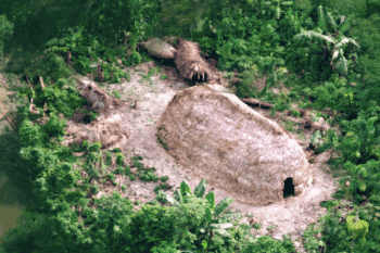 Malocas (traditional longhouses) of Indigenous communities in isolation on the Peru-Brazil border. Image by ORPIO.