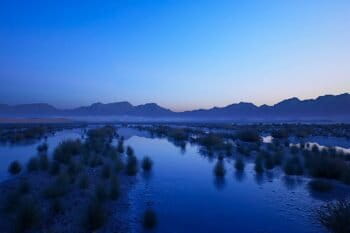 Example of the kind of virtual environments that gaming companies are currently creating. Image via Unreal Engine, a 3D creation tool for photo realistic visuals and immersive experiences.