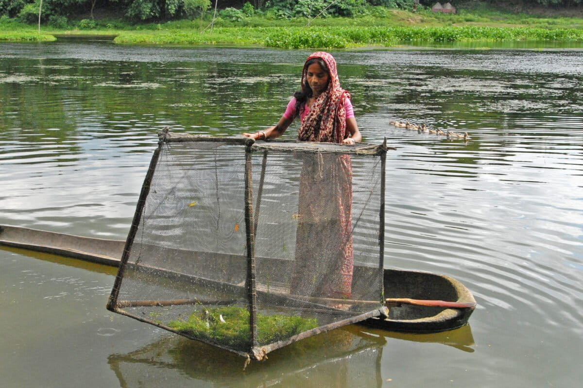 A fisherwoman fishing using cage aquaculture.