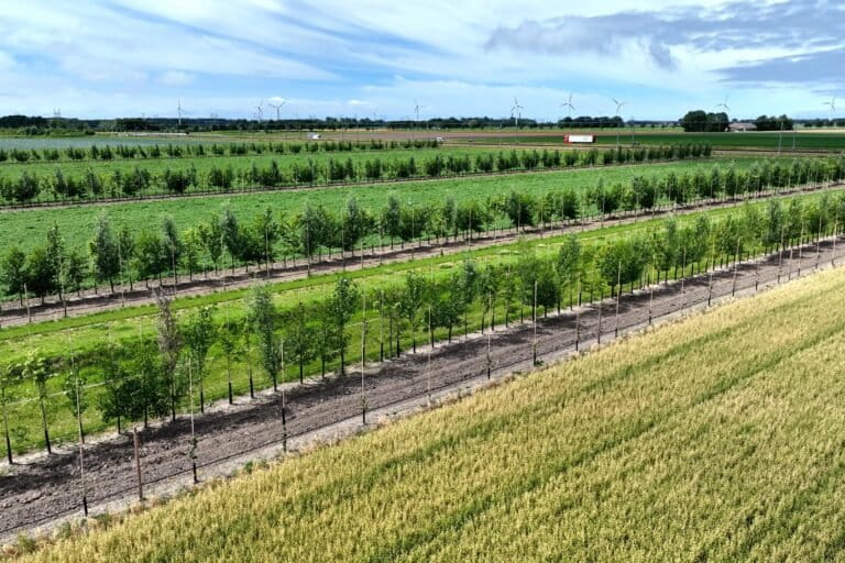 Image of the "farm of the future" research Wageningen University & Research is doing in Lelystad, Netherlands. Image by Lennart Fuchs.