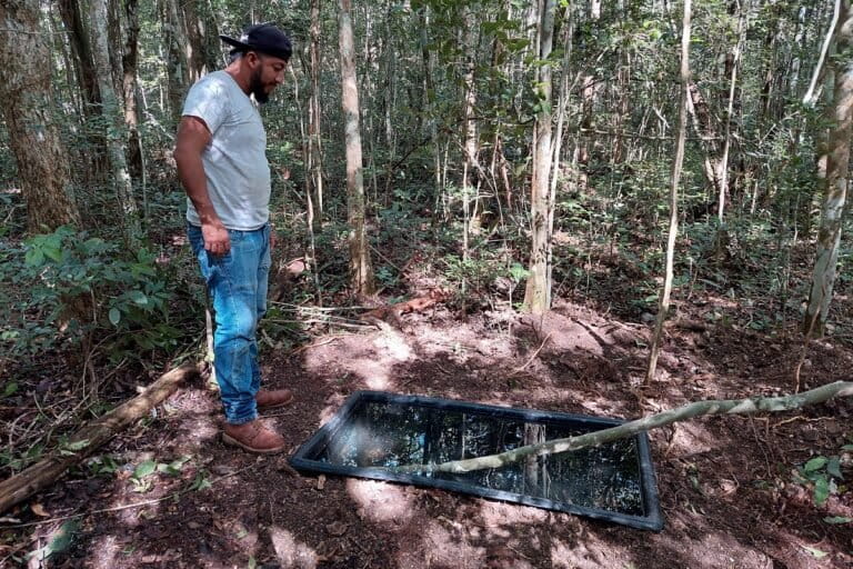 water trough forest