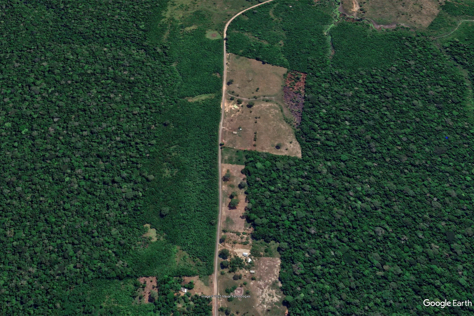 A Google image shows secondary forests growing in the Brazilian Amazon.