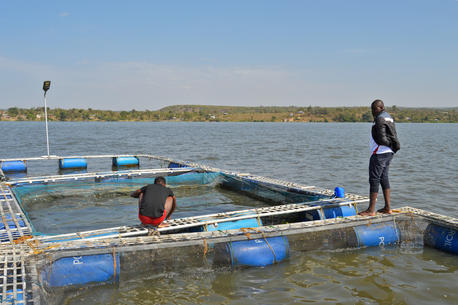 Omolo's assistant and Omolo inspecting the fish nets.