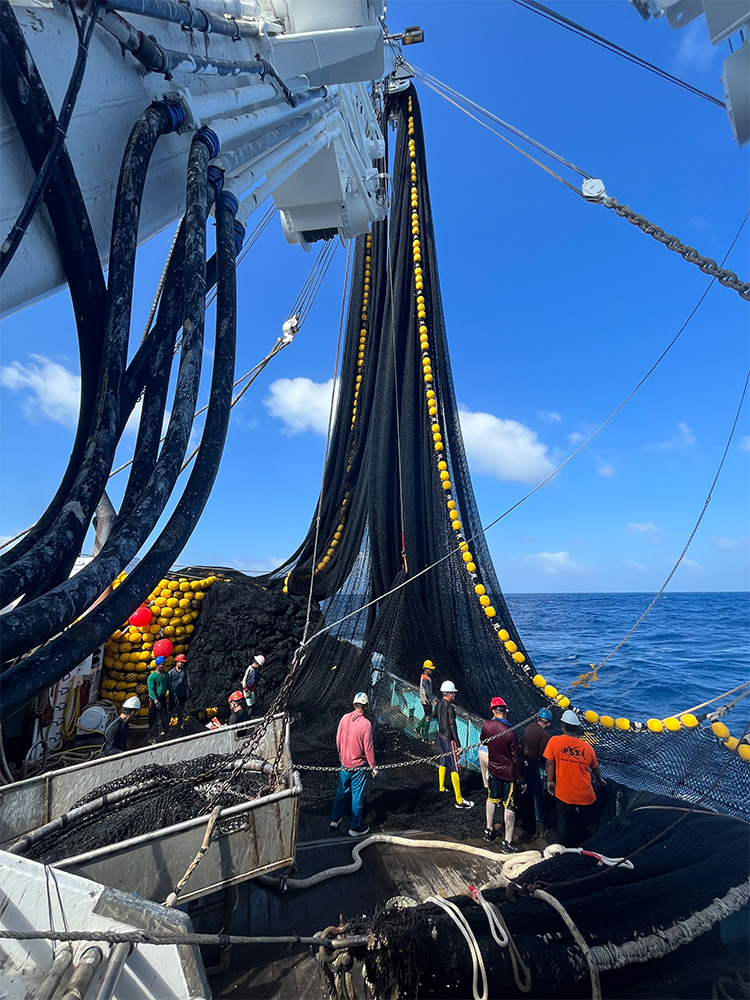 The crew of the Pacific Princess, a 259-foot (about 79 meters), U.S.-flagged purse seiner, hauls in its net during a recent voyage.