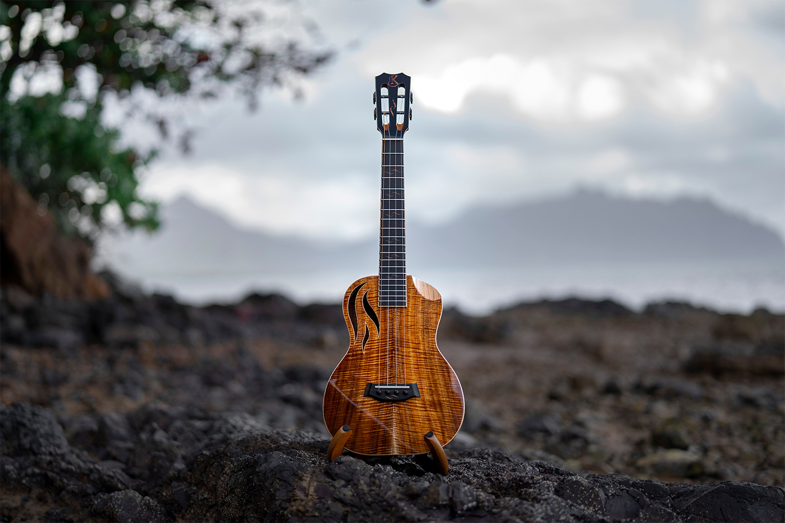 One of the ukuleles made by Kanile’a ‘Ukulele as seen against a tropical rainforest backdrop. 