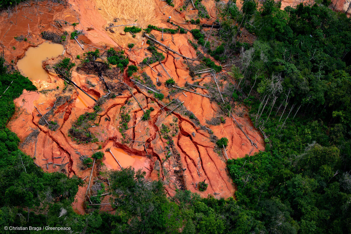 Overflight of illegal mining within the Yanomani Indigenous territory, Roraima, Brazil, April 2021. Image by Christian Braga for Greenpeace.