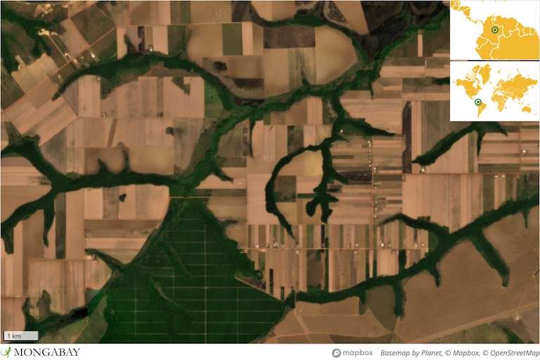 Satellite imagery from Planet Labs captured February 2023 shows large agricultural field associated with the Liveny Mennonite Colony. 