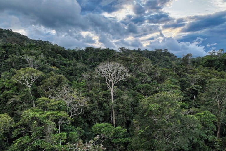 Citizen-run conservation booms in South America, despite state neglect