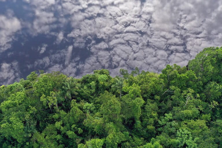 Clouds reflected in a lake in the Amazon Rainforest.