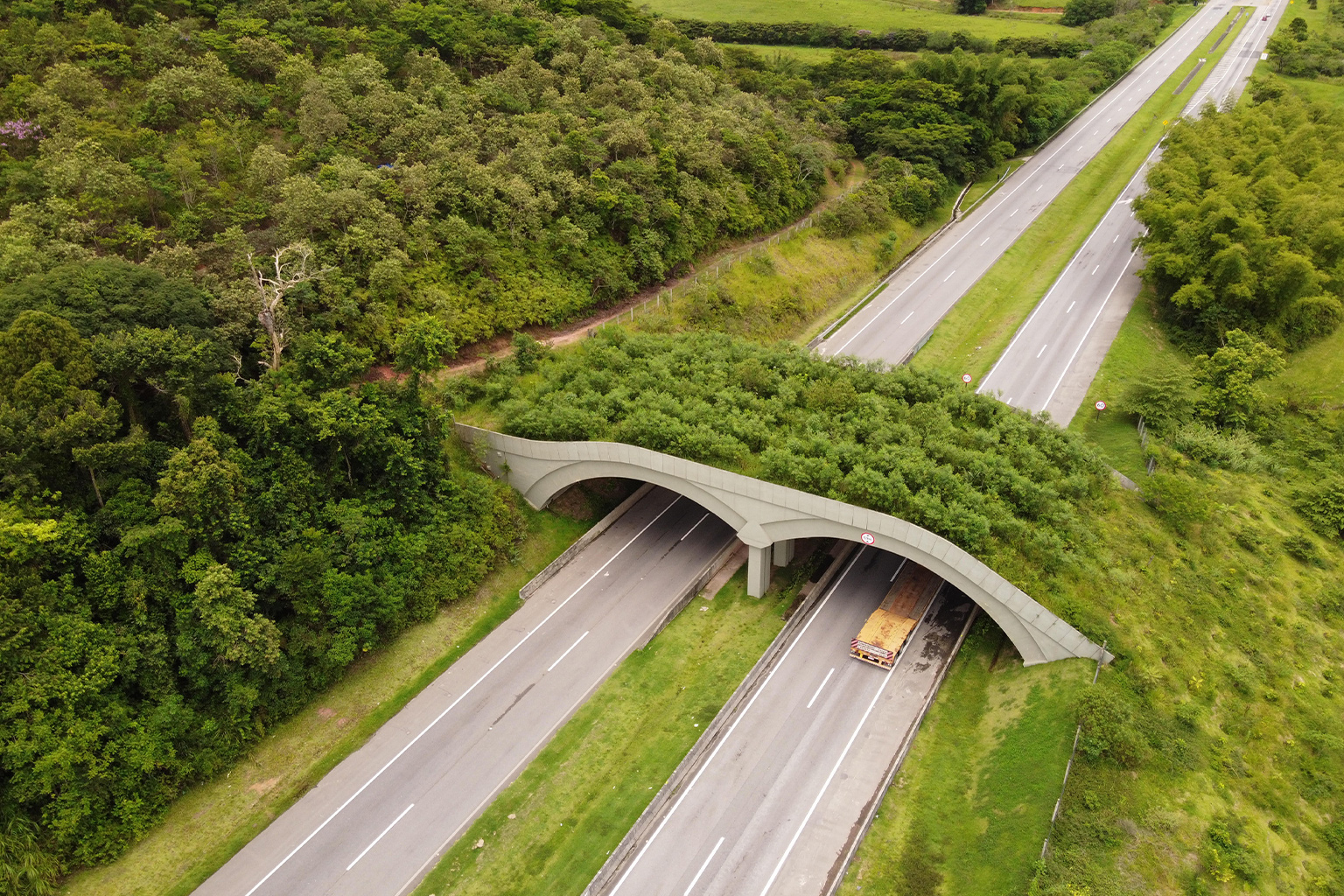 The first wildlife bridge in Brazil is connecting habitat across the coastal four-lane BR-101 highway.