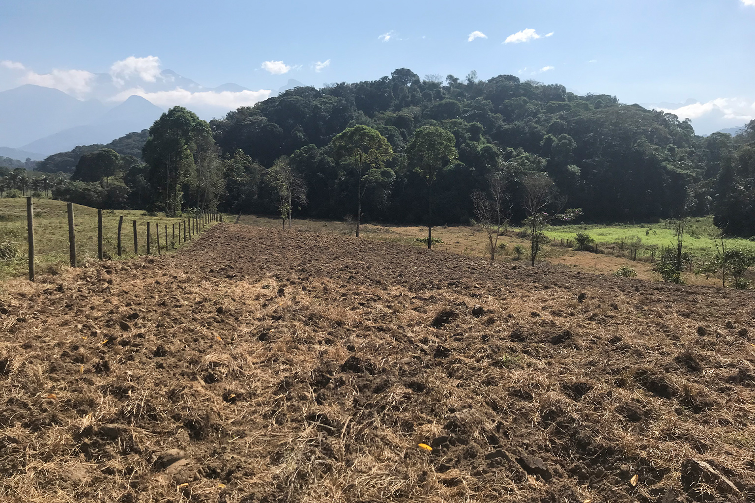 A hillside forest fragment in the background awaits connection to a new forest corridor that will occupy the degraded agricultural land in the foreground.