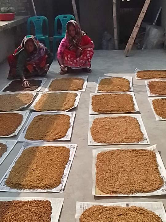 Women dryin g the seeds of different indigenous rice varieties.