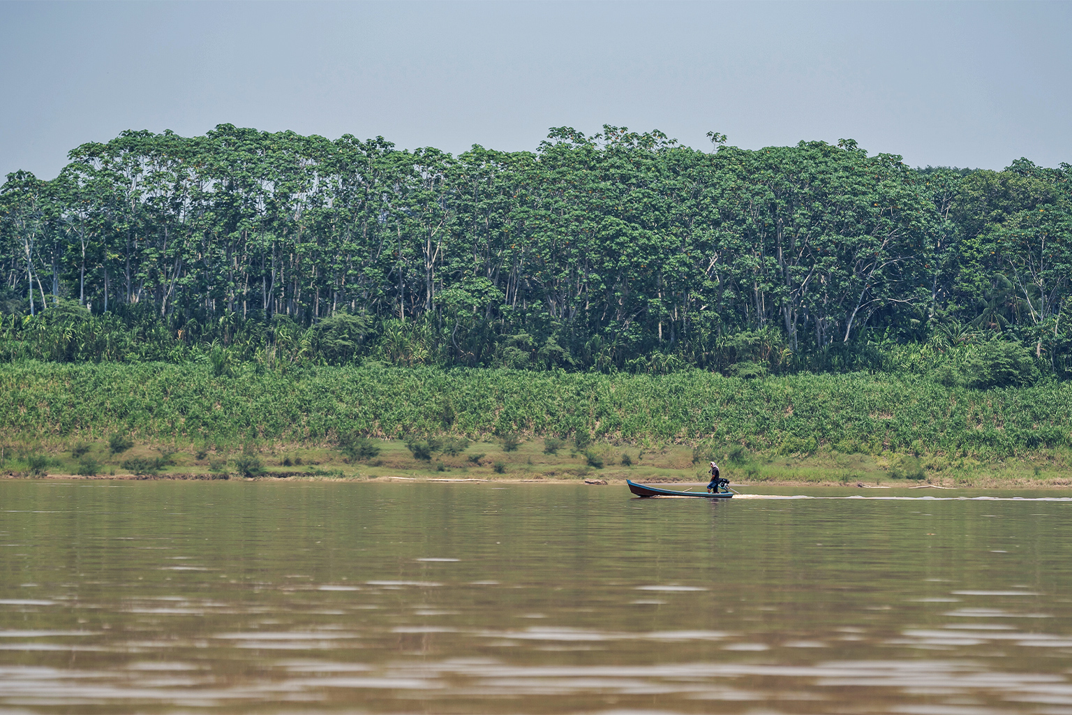 The banks of the Madeira River in the municipality of Porto Velho