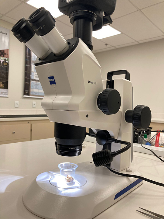 Microscopes are used to analyze the various physical characteristics of gold samples.