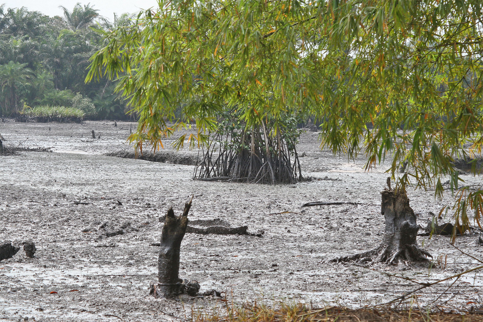 Oil spill in Nigeria. 