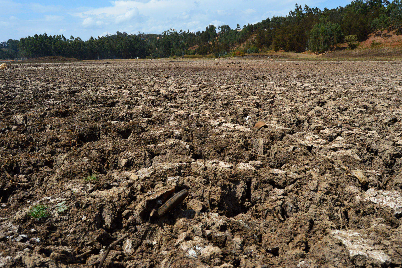 The dry earth in Manguo swamp now. 