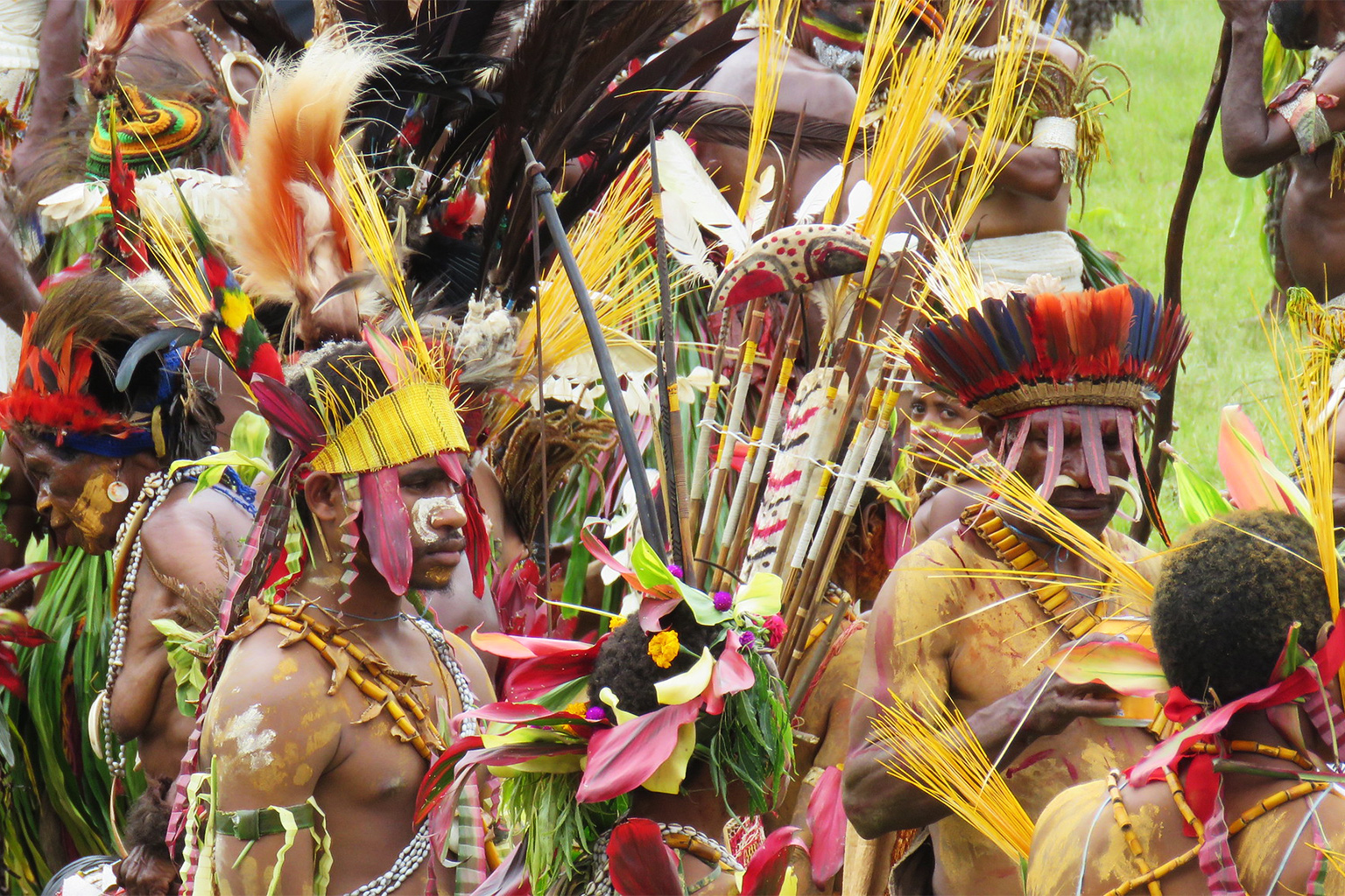 The plumage of birds-of-paradise and parrots adorn traditional costumes and ornaments.