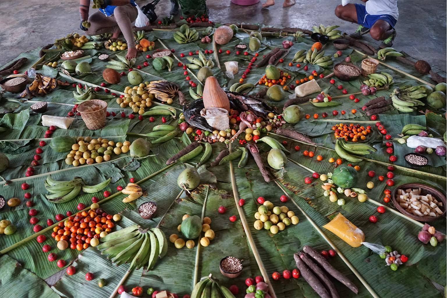 Tropical edible mandala created using crops from each participant’s farm