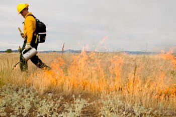 Setting a prescribed fire around vernal pools at Agate Desert Preserve. Image courtesy of Evan Barrientos/TNC.