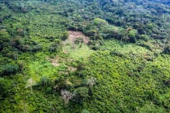 Aerial view of Congo forest at Lokolama/Penzele around Mbandaka, Équateur province, Democratic Republic of the Congo. Image courtesy of Daniel Beltrá / Greenpeace.