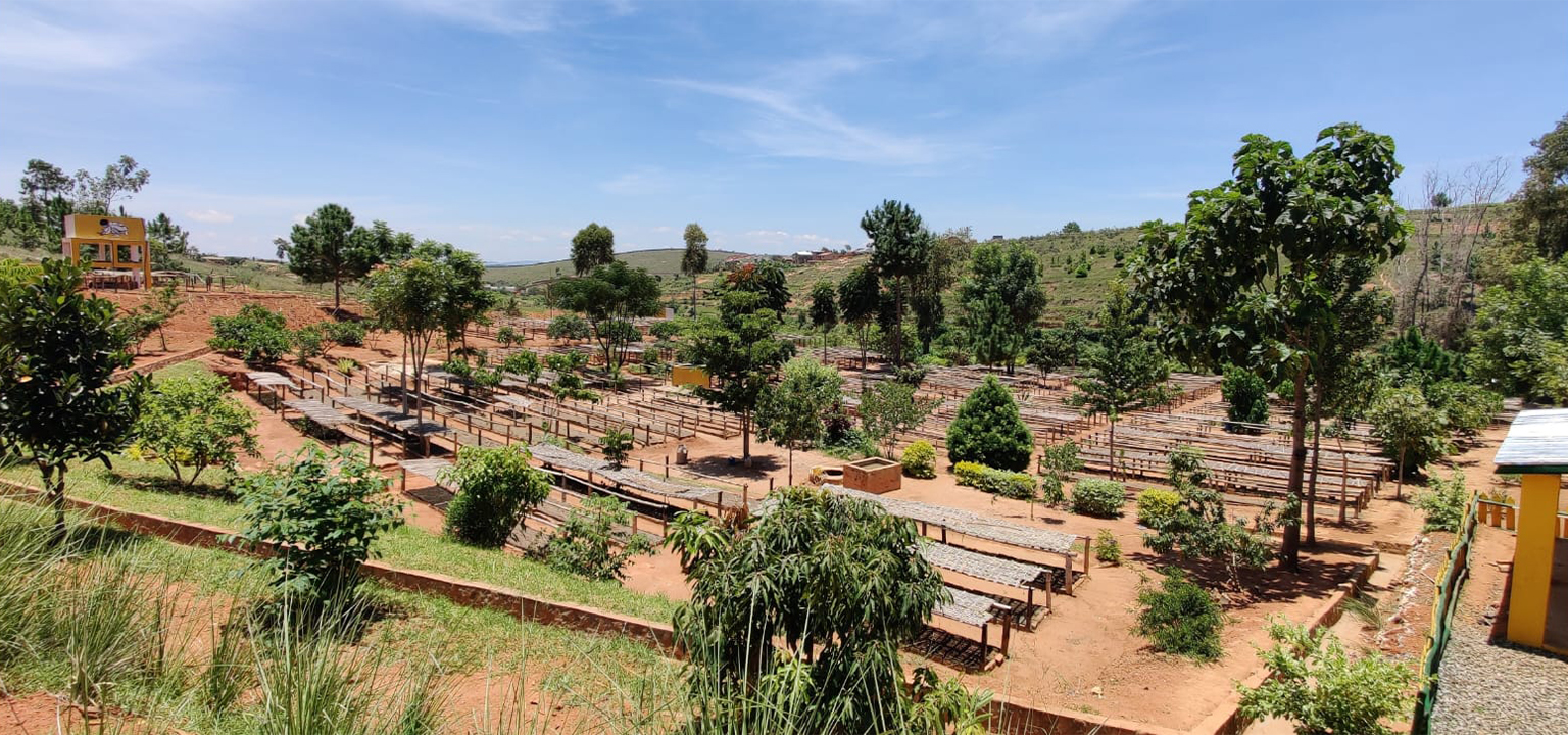  Graine de Vie's main nursery in Alatsinainy, Antananarivo. 