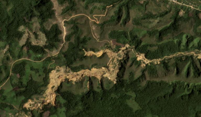 Satellite imagery captured January 2023 by planet labs shows what appears to be gold mining activity in a forested portion of Apolobamba.