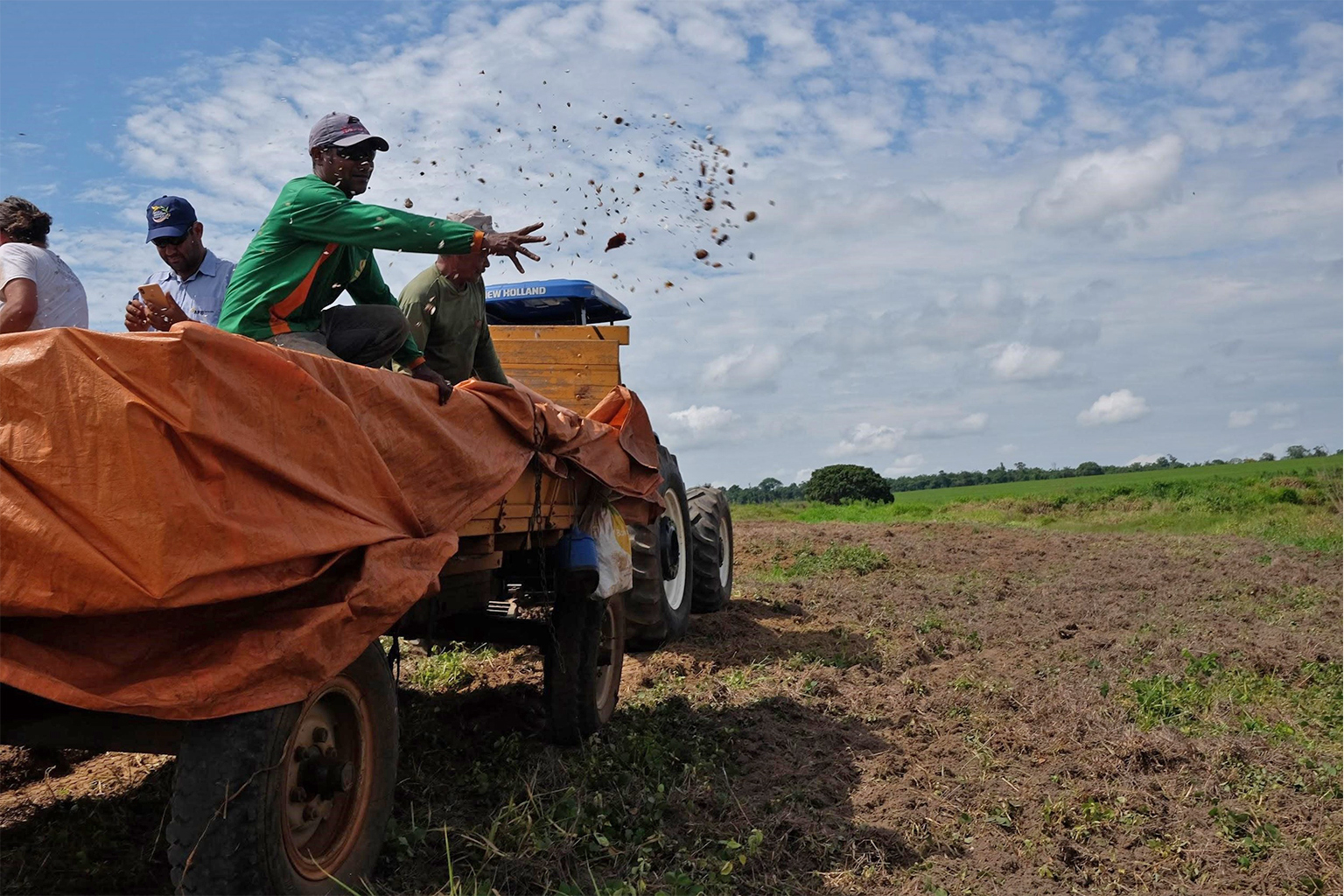 Soy farm crew manually dispersing seed