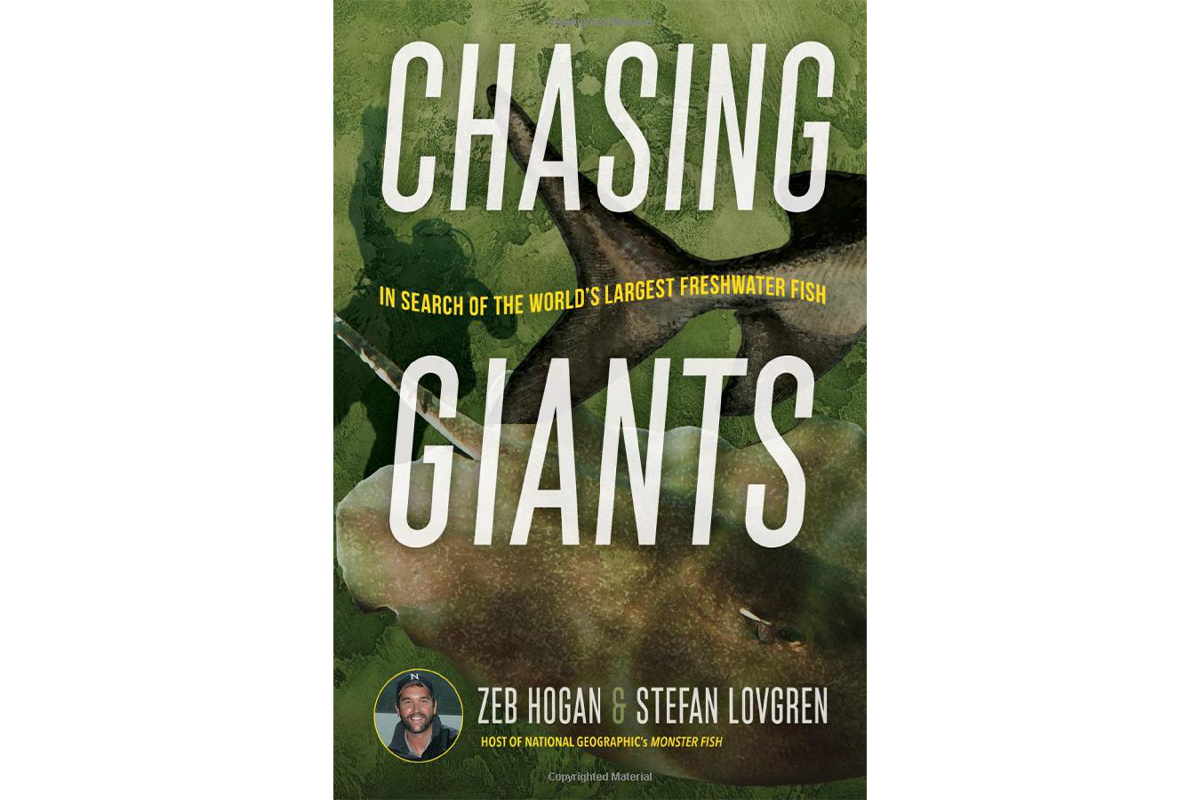 Cover of Chasing Giants