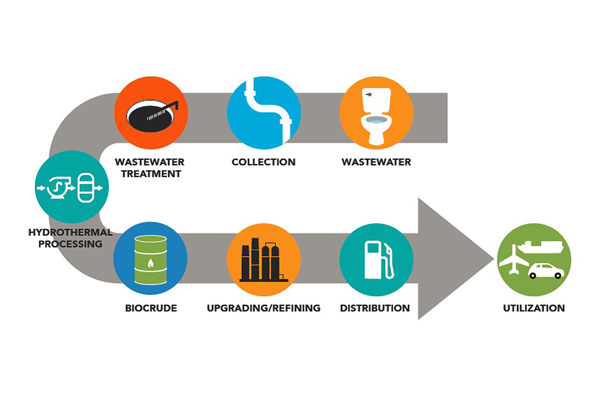 Simplified flowchart showing the HTL process to create liquid biofuels. 