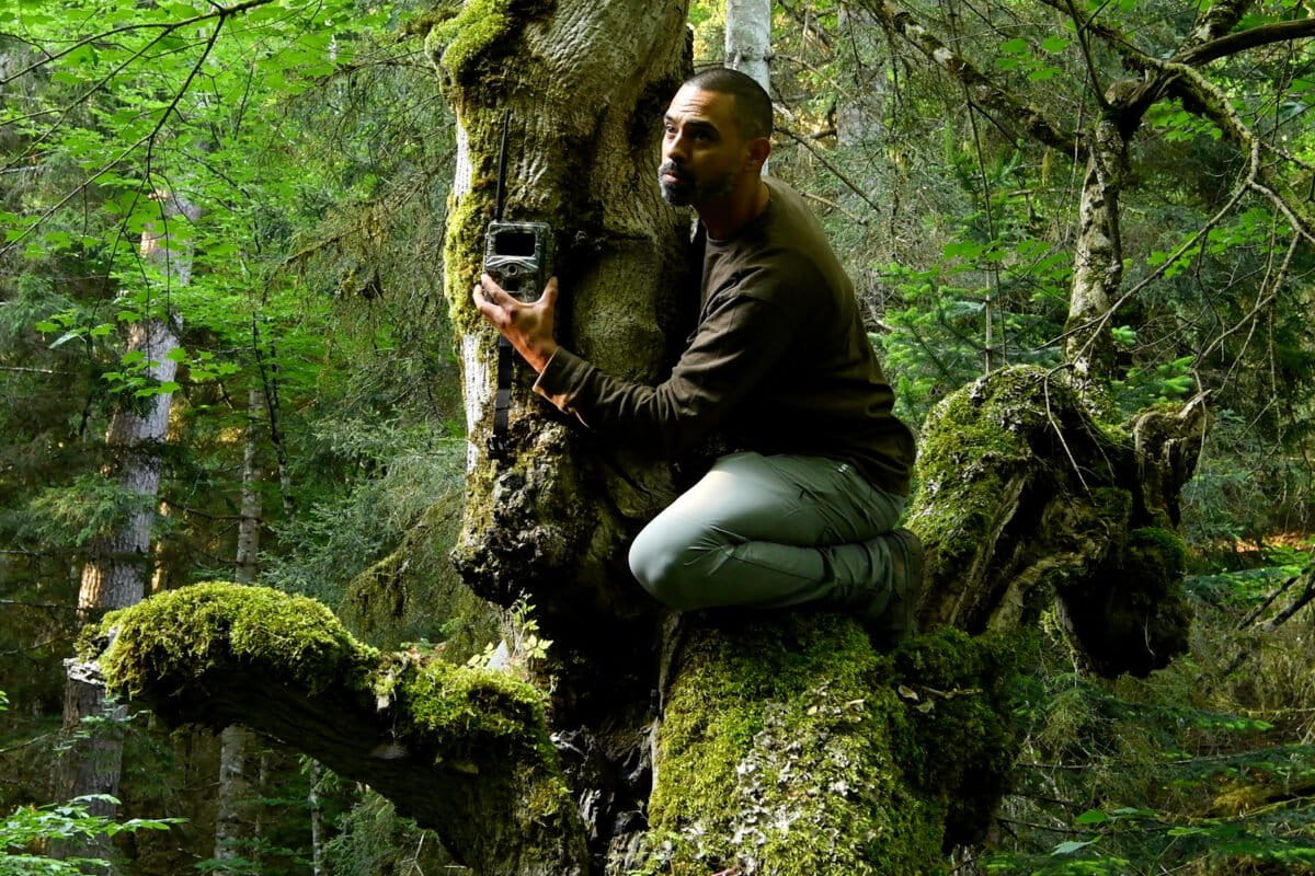 Trailcam installation in Borjomi, Georgia.