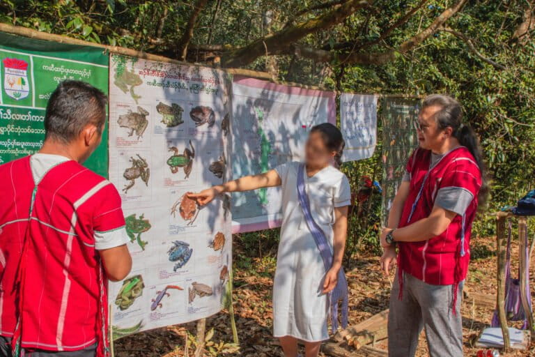 Wildlife and biodiversity surveys are part of the Salween Peace Park management. Here, a local researcher presents results from some frog research. Image courtesy of KESAN.