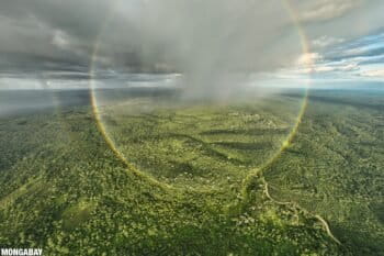 Rainforest and an oil palm plantation in Sumatra. Photo credit: Rhett A. Butler
