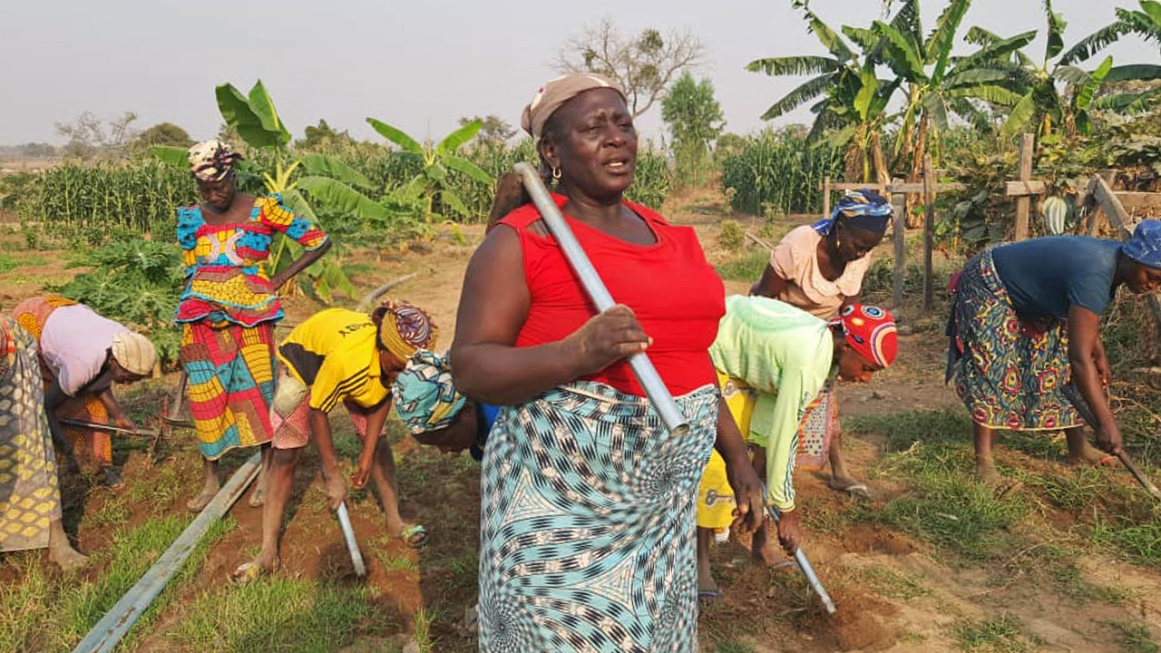 Some Nigerian women farmers working on a farm field in Nasarawa community.