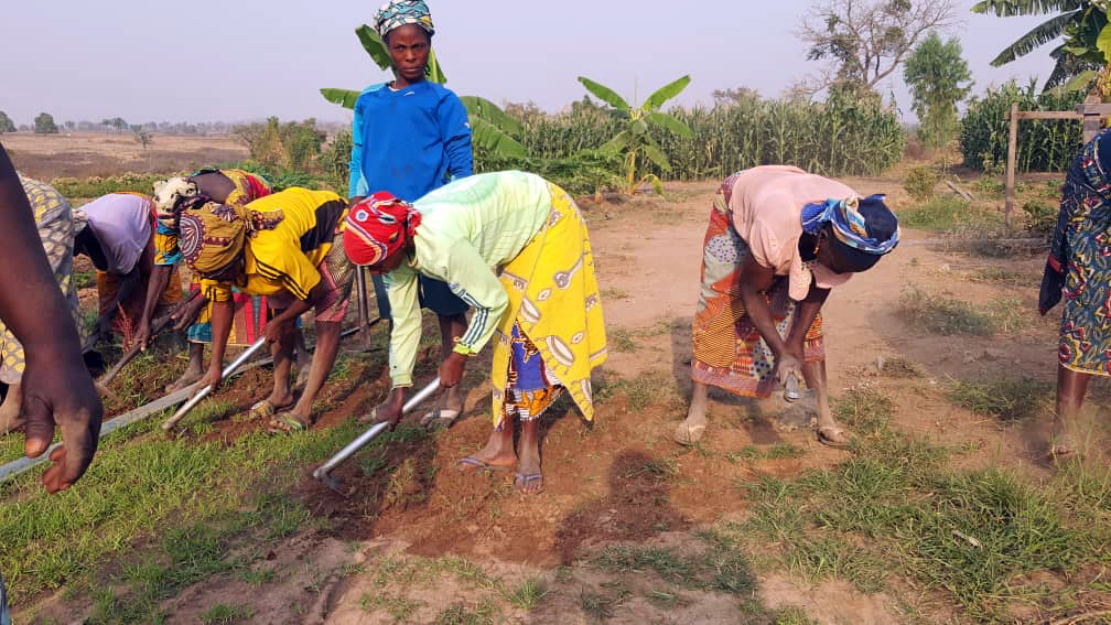 Some Nigerian women farmers working on a farm field in Nasarawa community.