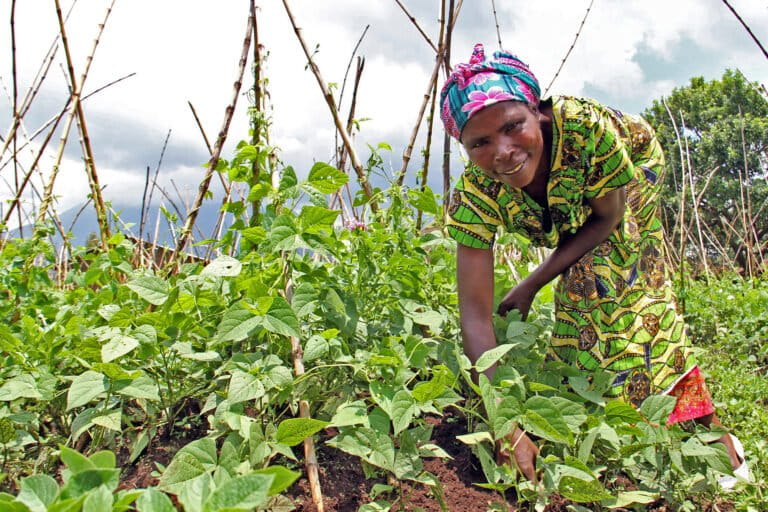 Immaculée Nyirahabimana, a farmer from Rwanda.