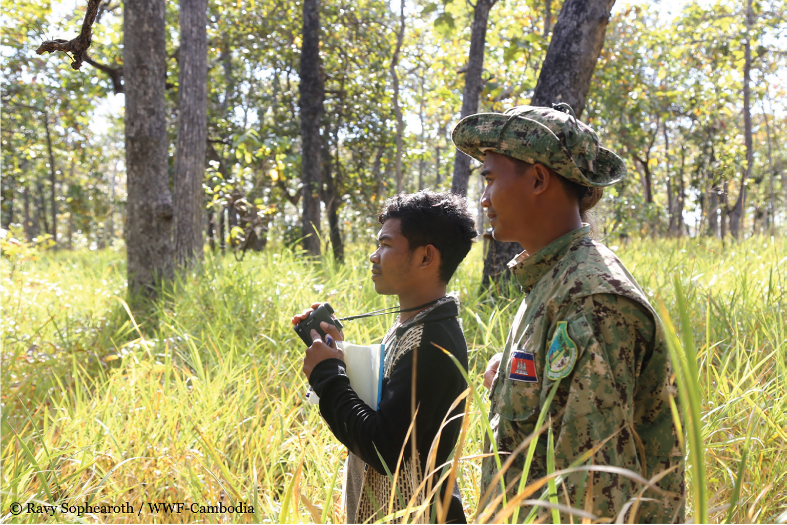 Snares claim another local extinction as Cambodia loses its leopards