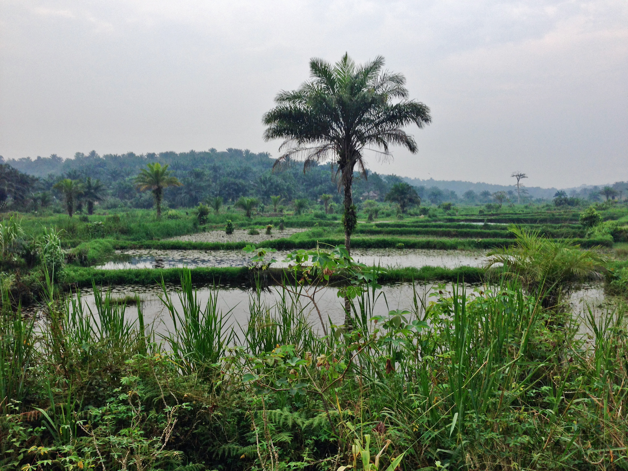 A fish farm.