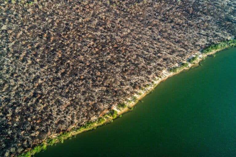 An aerial image shows deforestation in the Brazilian state of Rondônia during former President Jair Bolsonaro's government.