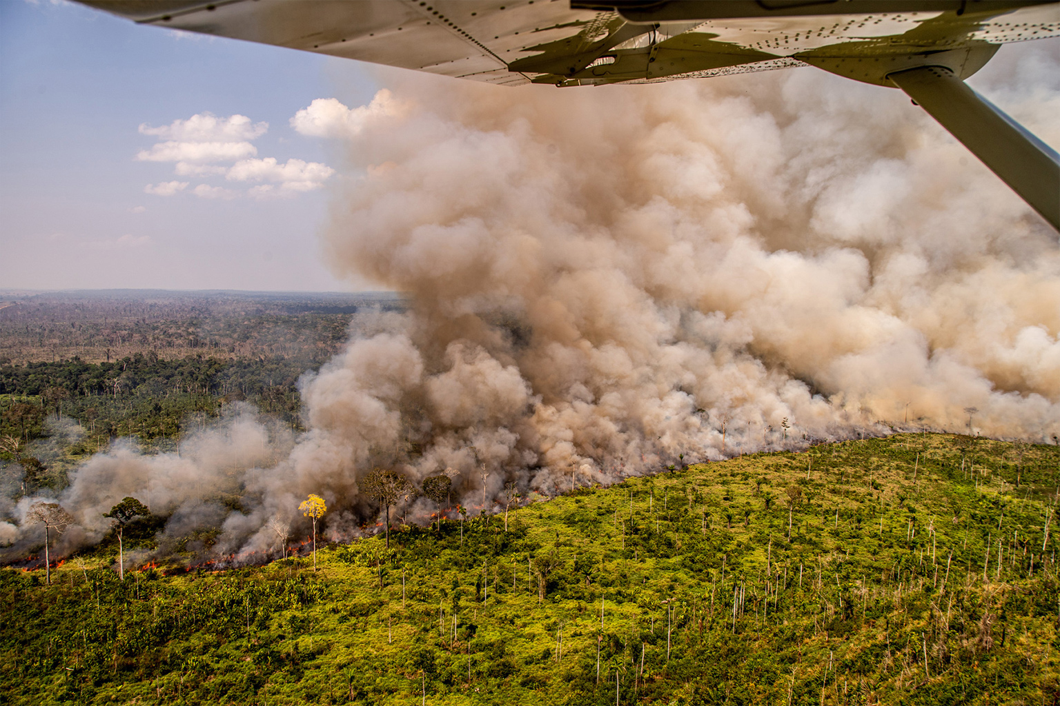 Forest fire in the Amazon.