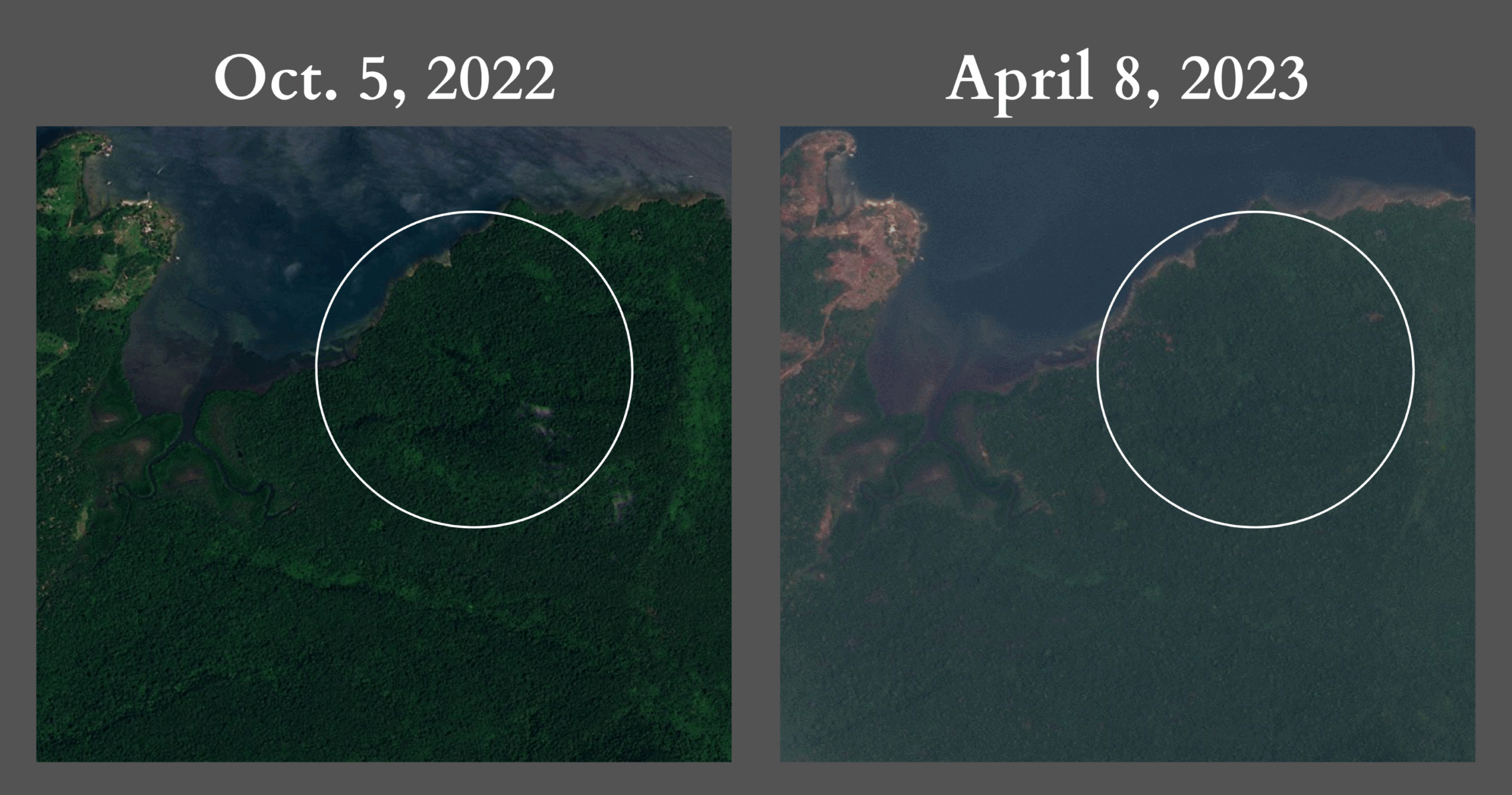 Planet Labs Inc satellite imagery shows the spread of selective logging in military controlled parts of Koh Kong Krao.
