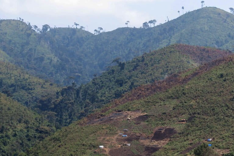 Deforestation in part of Kahuzi-Biega National Park to which groups of Batwa returned in October 2018. Image by Fergus Simpson.