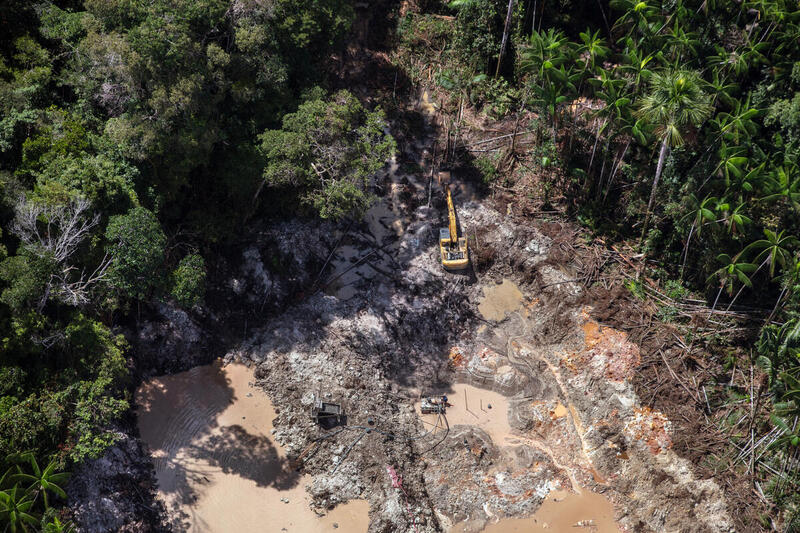 Mechanized destruction of Brazil's  is rising, but not