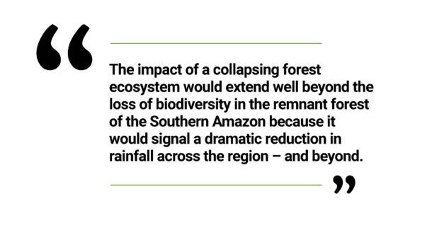 The natural history of the Amazon Rainforest