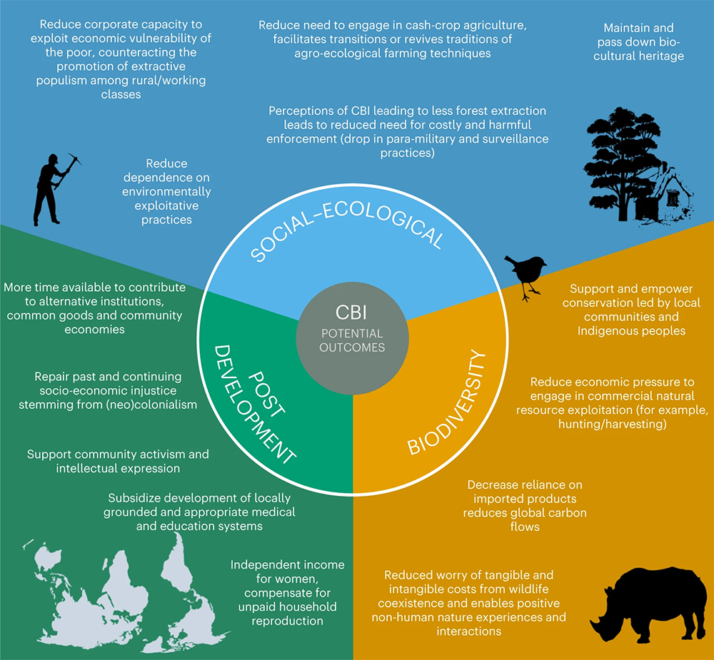 The authors summarized the potential outcomes of a conservation basic income (CBI). 